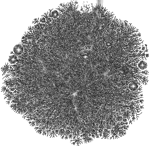Rhizomatic Scores